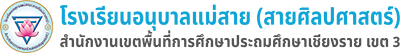 web-logo-โรงเรียนอนุบาลแม่สาย